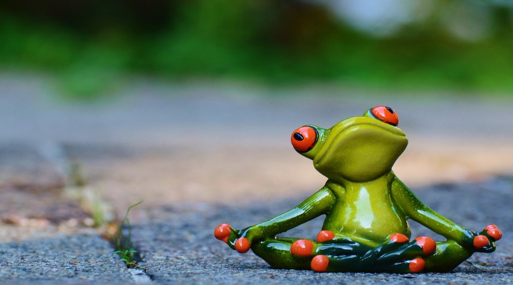 Yoga Frog