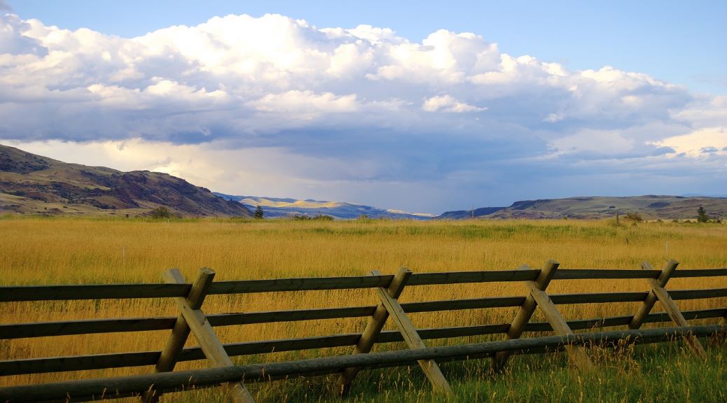 Montana Fence